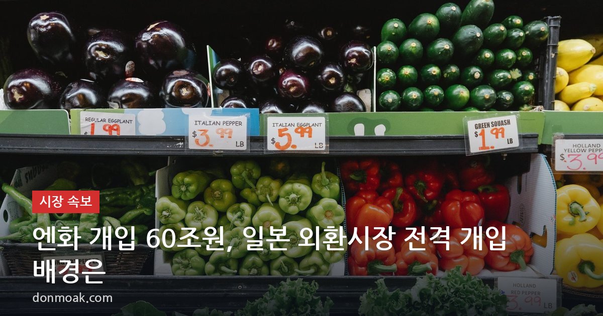 엔화 개입 60조원, 일본 외환시장 전격 개입 배경은?